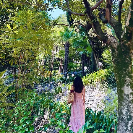 Le Palm House Has Two Bedrooms With The Breathtaking View Over