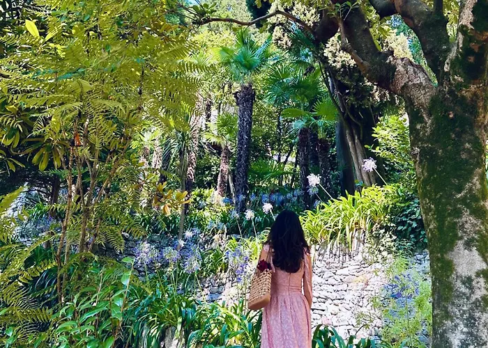 Le Palm House Has Two Bedrooms With The Breathtaking View Over